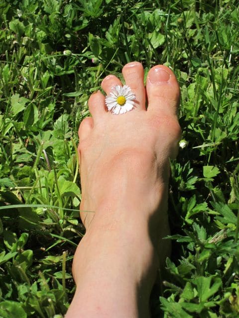 flower on foot